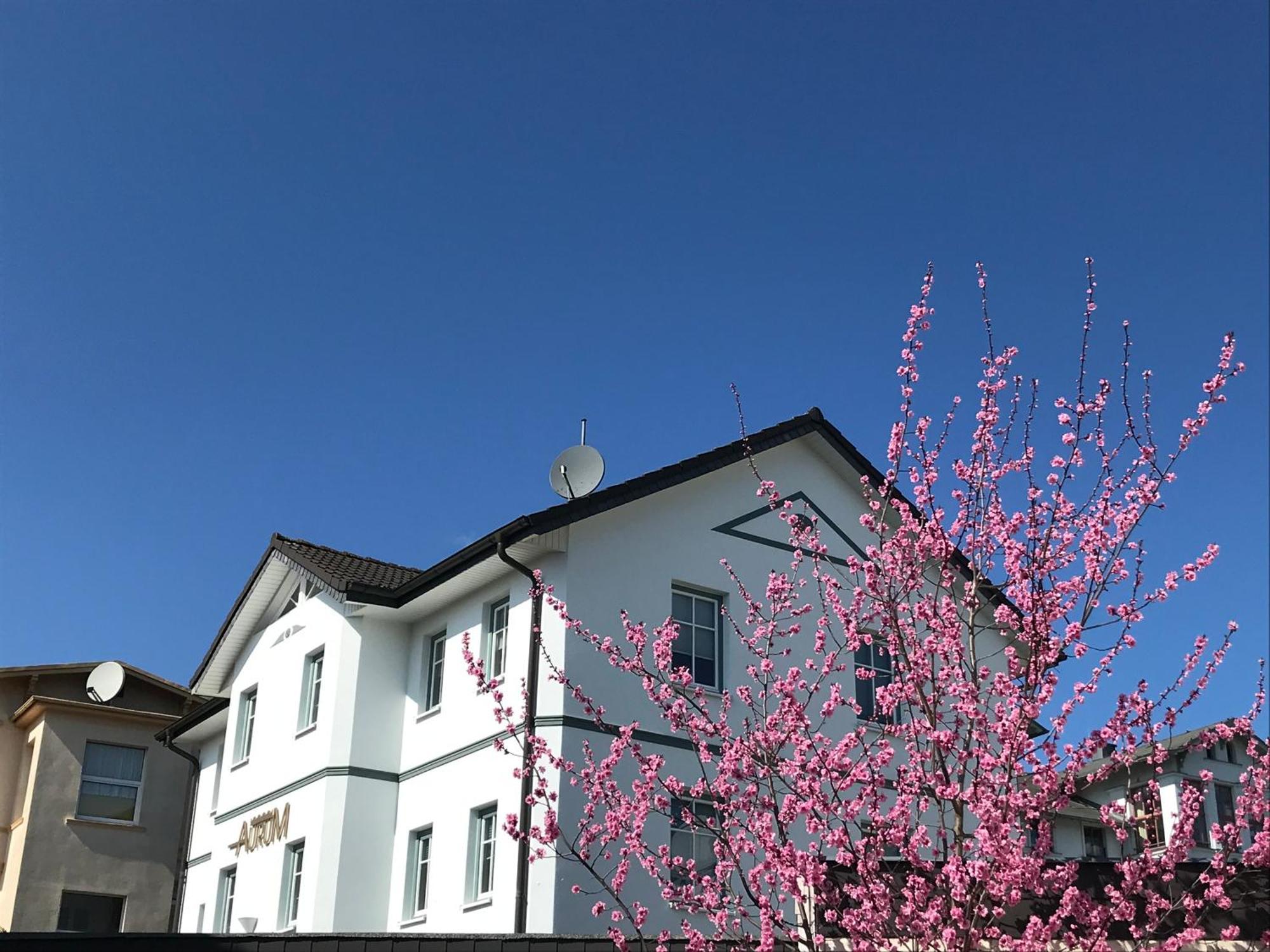 Apartmenthaus Aurum 塞巴特黑灵斯多夫 外观 照片